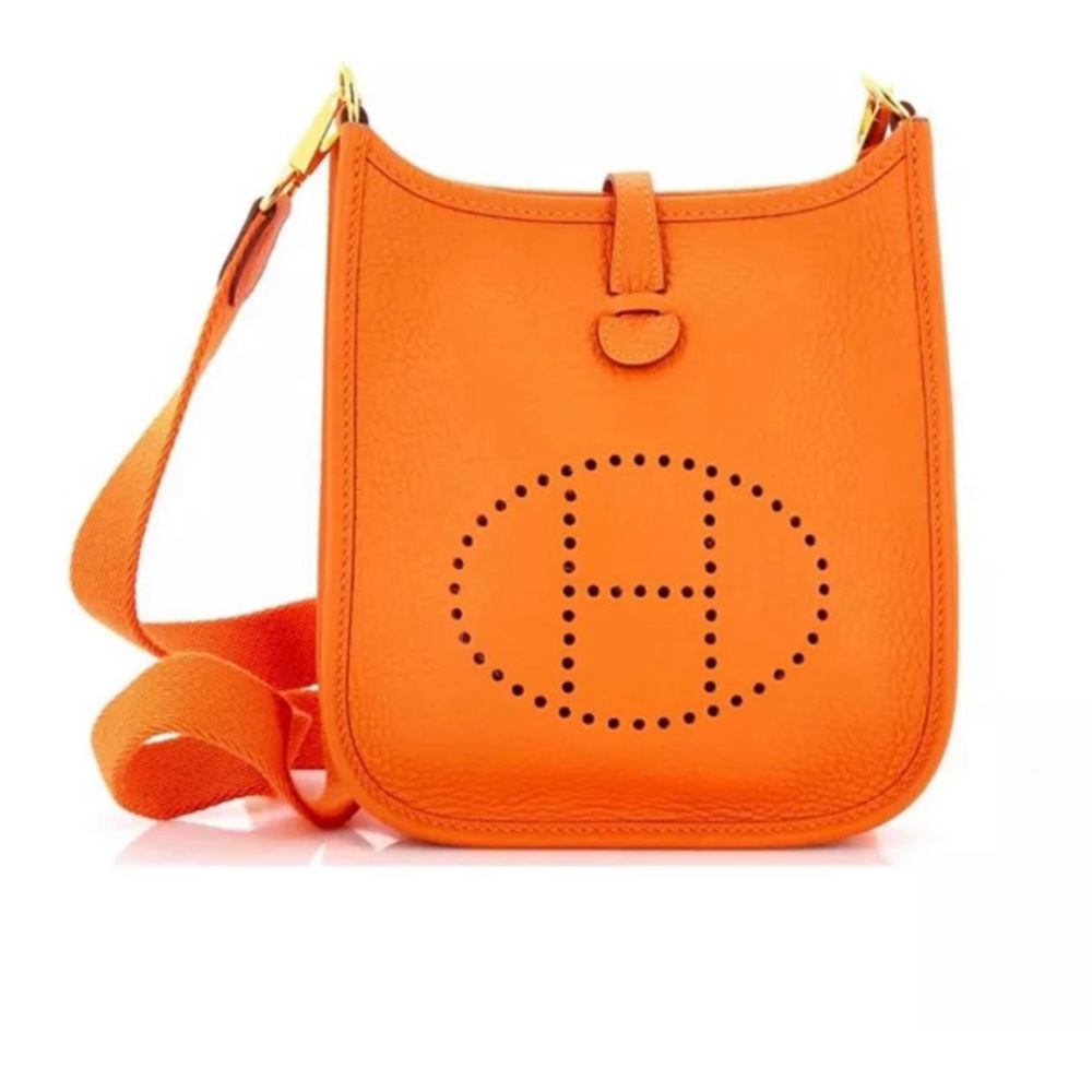 Hermes TPM Evelyn brand New